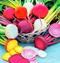 BPA Rainbow Blend Beet Seeds Non-Gmo 100 Seeds  From US - £6.28 GBP