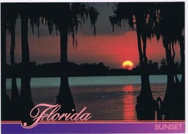 Florida Postcard Sunset Cypress Trees Spanish Moss Tranquil Waters - $2.96