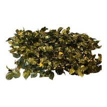 Ashland Faux Pothos Leaves Artificial Greenery Vines Decor Garland 6ft 3... - $37.39
