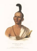 9540.Decoration Poster.Room Wall art.Home decor.Native American portrait.Indian - $17.10+