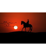 Energy command Taweez for horse rider - $82.95 CAD
