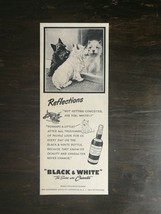 Vintage 1950 Black &amp; White Scotch Whiskey Scottie &amp; Terrier Dog Original... - £5.22 GBP