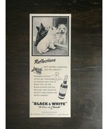 Vintage 1950 Black &amp; White Scotch Whiskey Scottie &amp; Terrier Dog Original... - £5.22 GBP