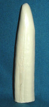 #17 HIPPO INCISOR TOOTH (Reproduction) made of polyurethane - $6.44