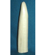 #17 HIPPO INCISOR TOOTH (Reproduction) made of polyurethane - $6.44