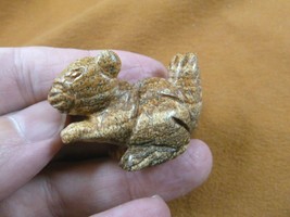 (Y-SQU-567) little Tan SQUIRREL stone gemstone carving figurine I love s... - $14.01