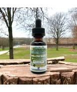 Willow Bark Tincture - Muscle and Joint - £11.36 GBP