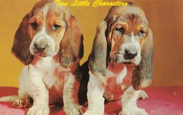 Vintage Postcard Basset Hound Puppies 1961 Dog Card Two Little Characters - £5.53 GBP