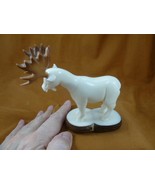 TNE-MOO-643-c) white Moose TAGUA NUT nuts palm figurine in rut antlers - $85.49 CAD