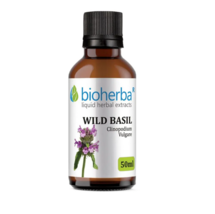 Wild Basil Tincture for immunity and kidneys, Clinopodium vulgare, 50 ml - $23.36