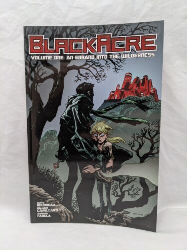 Primary image for Black Acre Volume One An Errand Into The Wilderness Graphic Novel Comic Book