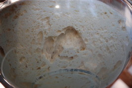 FAMOUS SOURDOUGH STARTER mix San Francisco BEAST+ RECIPES @fresh/active d - $8.74