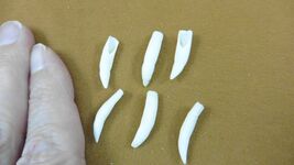 Item image 1 image 1