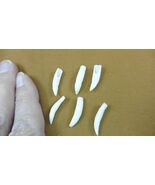 G371-43-1) SIX 1&quot; GATOR Alligator Aligator T**th GATORS jewelry gators m... - $328.69 MXN