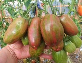 Item image 1 image 1