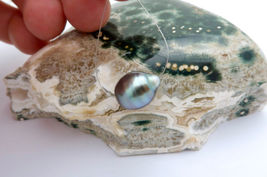 Item image 7