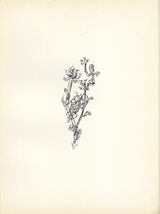 Original 1920 Lithograph PAUL KLEE "Giant Aphid" Ed. 600 - $1,091.25