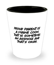 Beautiful Maine Coon Cat, Proud Parent of a Maine Coon That is Sometimes... - $9.85
