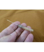 (w32-11) North American Porcupine tail quill Erethizon dorsatum craft su... - $23.00 CAD