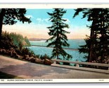 Chuckanut Drive Burlington Washington WA UNP WB Postcard Z10 - $4.90