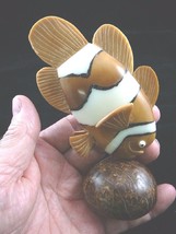 (TNE-FIS-CL-326) Clown clownfish anemone fish TAGUA NUT figurine carving Marlin - £35.39 GBP