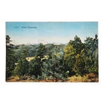 1936 White Mountains New Mexico Lincoln National Forest Curt Teich Postc... - $8.59