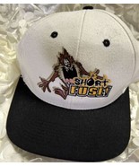 Vtg Looney Tunes Taz Short Fuse! Ball Cap Hat - $13.55 CAD