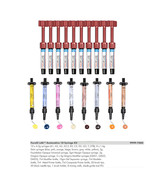 Parafil Lab Zirconium Composite 10 Syringe Kit - w/ Stain... - £306.33 GBP