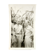 1942 WW2 Real Photograph Unknown Military Soldiers Corn Field Army F10A - $33.89 CAD