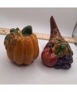 BICO Cornucopia and Pumpkin Salt and Pepper Shakers Made In China - $13.50