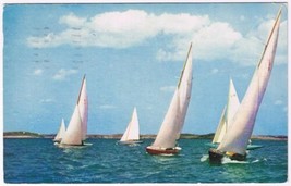 Postcard Sail Boats Bermuda - £2.32 GBP