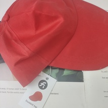 FL hats,Bold and Eye - Catching Color image 4