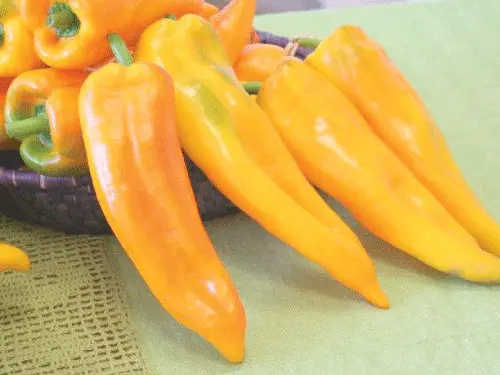 20 Corno Di Toro Giallo Pepper Italian Pepper Sweet Tasty Fresh Seeds - £10.78 GBP