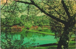 Azaleas Blooming Fish Hatchery Pond Mobile Alabama AL 1965 Chrome Postcard - $2.63