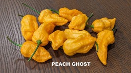 SEED-Ghost-Peach Pepper, Bhut Jolokia Peach, Super Hot Unusual Rare Color - $3.84+