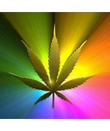 Incense Marijuana Fresh Hand Dipped Charcoal 40 Sticks Home Fragrance Ha... - $132.27 MXN