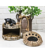 Western Rustic Forest Peeking Black Bear Tree Ring Paw Coasters And Hold... - $35.54 CAD