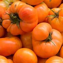 Orange Tomato Seeds - £3.91 GBP