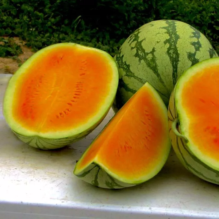 25+Very Sweet Orange Watermelon Seeds . Non GMO True To Color  - $9.00