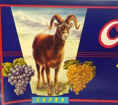 O'Capro Ram Mountain View California Grapes Fruit Crate Label 1940's Ori... - $7.44