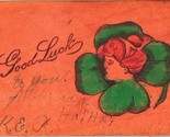 Leather Postcard Comic Good Luck Face in 4-Leaf Clover 1906 - £6.96 GBP