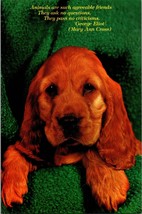 vintage Postcard The American Postcard Co. 1995 Cute Dog (C) - £3.78 GBP