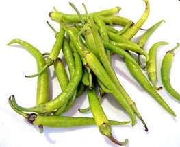 Guindilla Hot Pepper Seeds A Variety From The Basque Area Of Spain (25 See - $6.99