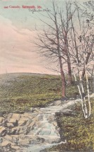Yarmouth MAINE-CASCADE-1906 Colorato Foto Postcard - £7.63 GBP