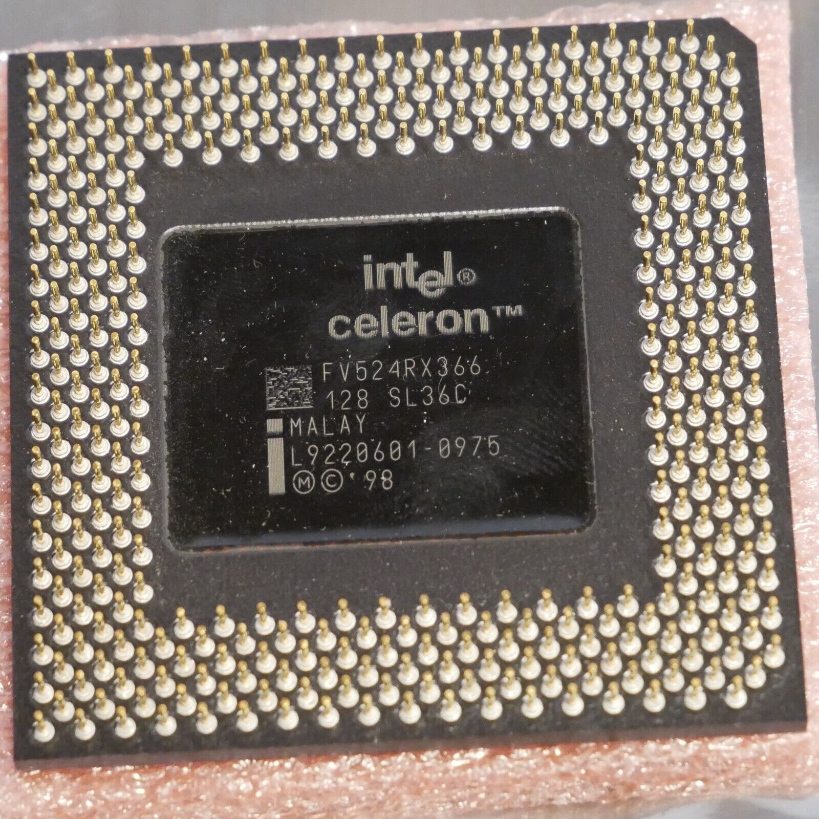 Intel Celeron SL36C 366MHz 128KB 66 MHz FSB CPU FV524RX366- Tested 02 - $14.01