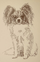 Papillon Dog Breed Art Print #47 Word Drawing Kline will add your dogs name free - £39.92 GBP