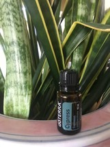doTERRA Cypress 15 mL Essential Oil  NEW &amp; SEALED Exp 06/28 - $17.99