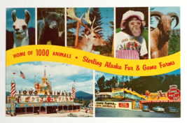 Home of 1000 Animals Sterling Alaska Fur &amp; Game Farms NY UNP Postcard 1960s - $4.99