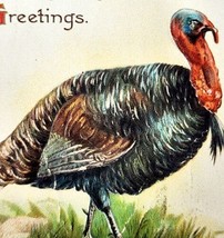 Cordial Thanksgiving Greetings 1908 Postcard Embossed Tom Turkey PCBG6D - £31.28 GBP