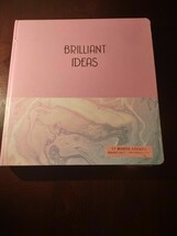 17 Month Agenda August 2017-December 2018 Brilliant Ideas - £10.07 GBP